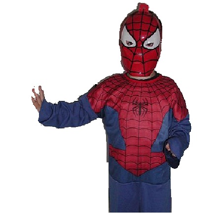 SpidermanCostume201305