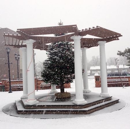 Veterans Park Snow Xmas Tree Photo Credit: ©2013 Dave Zornow