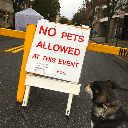 Nyack Street Fair No Dogs Allowed