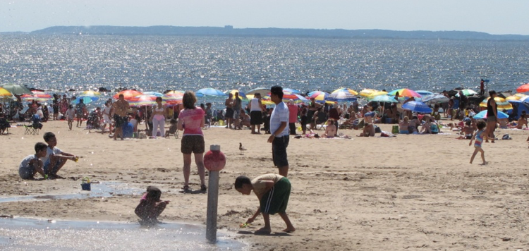 words & images, coney island, carol baretz