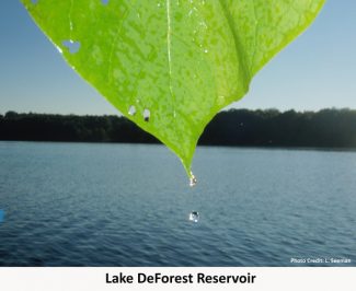 Lake DeForest Reservoir. Photo Credit: Laurie Seeman