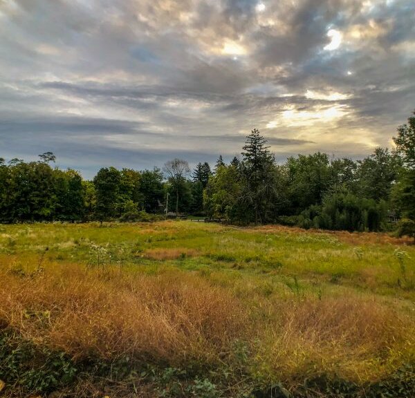 Nyack People & Places A River Hook Halloween Nyack News & Views