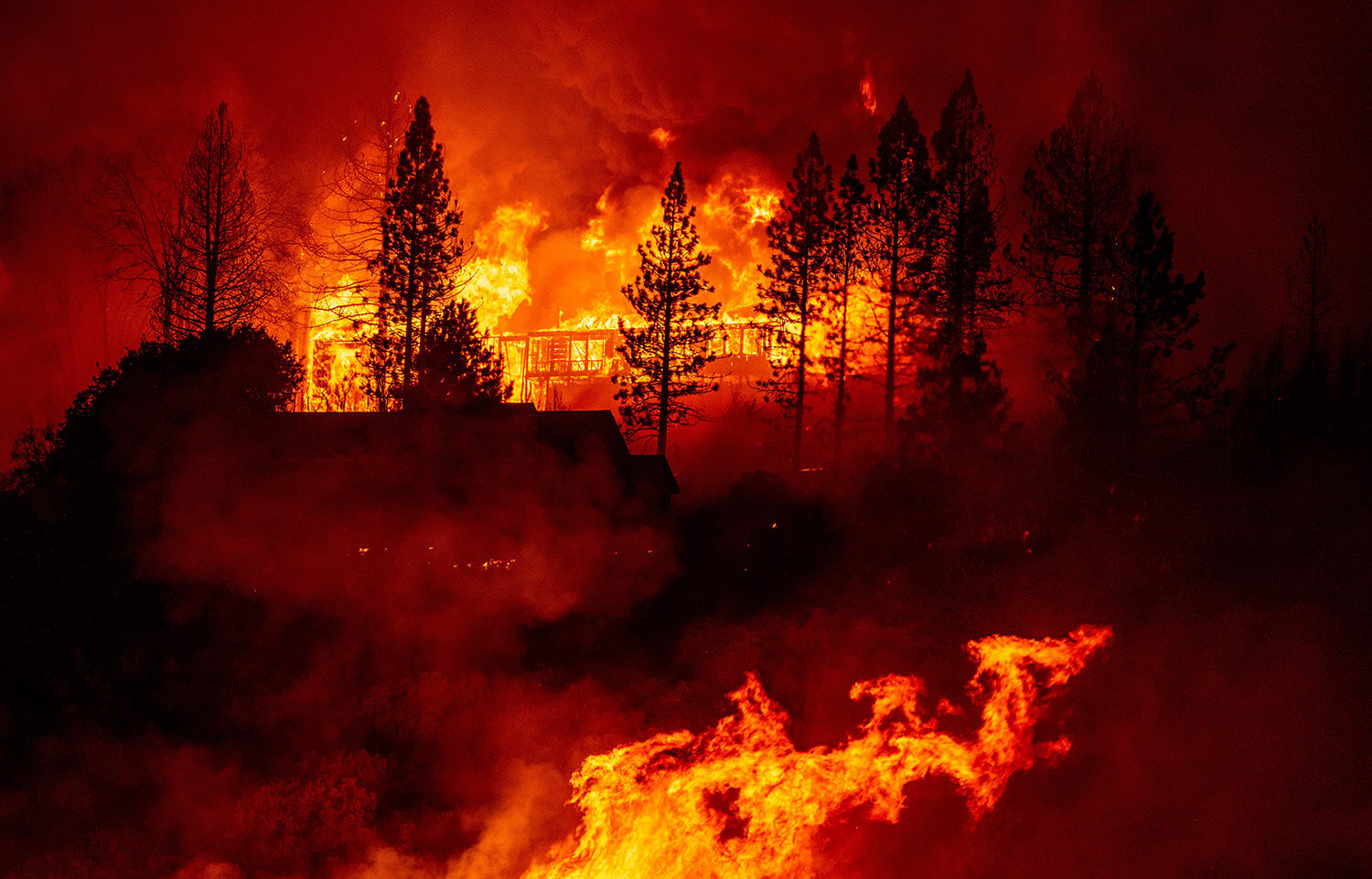 Earth Matters: The Wildfires Came, And Then a Poem - Vimarsana News