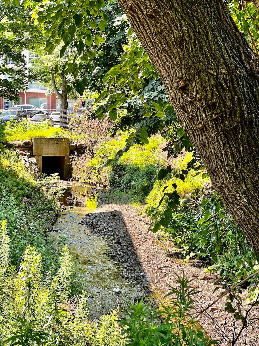 Five Places Where Nyack Brook Is Visible Nyack News & Views