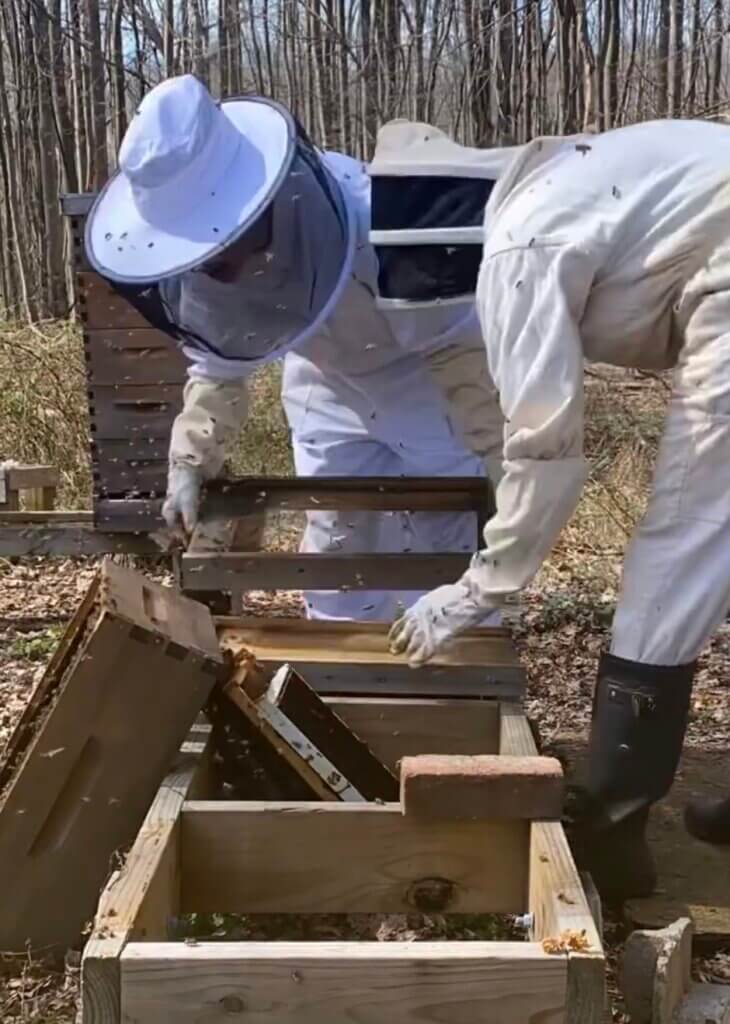 BECOMING a BEEKEEPER // RANCH SHENANIGANS gone wrong 