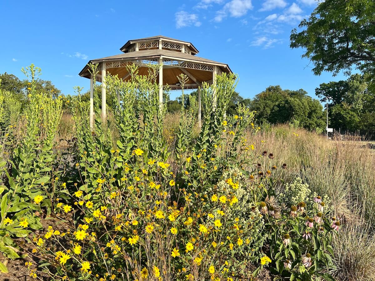 It's a Honey of a Village Nyack News & Views