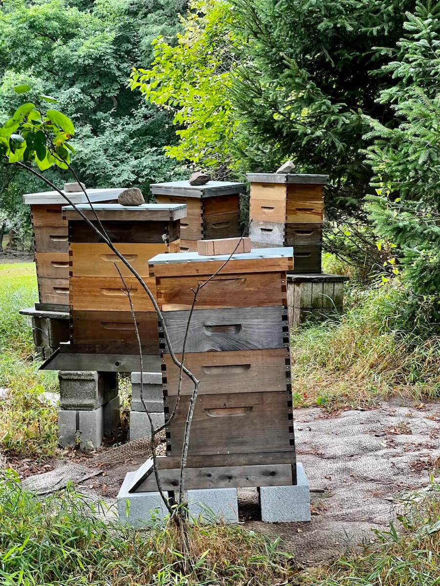 It's a Honey of a Village Nyack News & Views