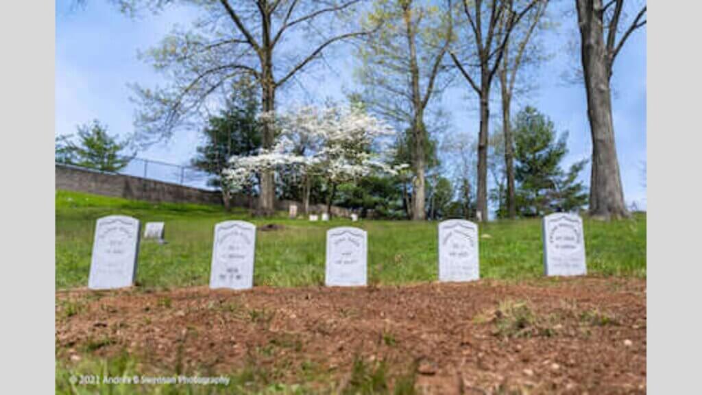 Photo by Andrea Swenson